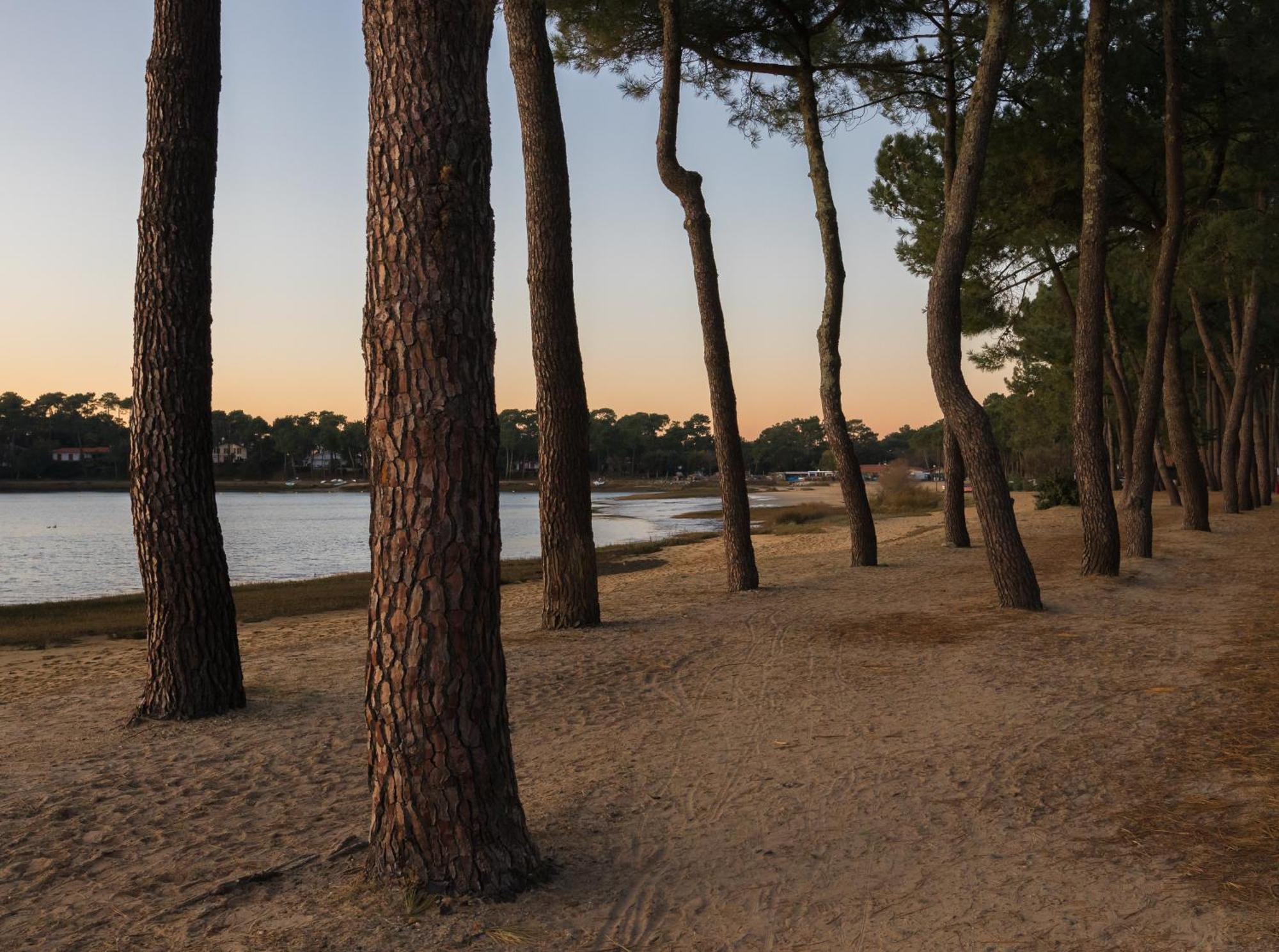 Residence Hoteliere Les Acanthes Soorts-Hossegor Kültér fotó