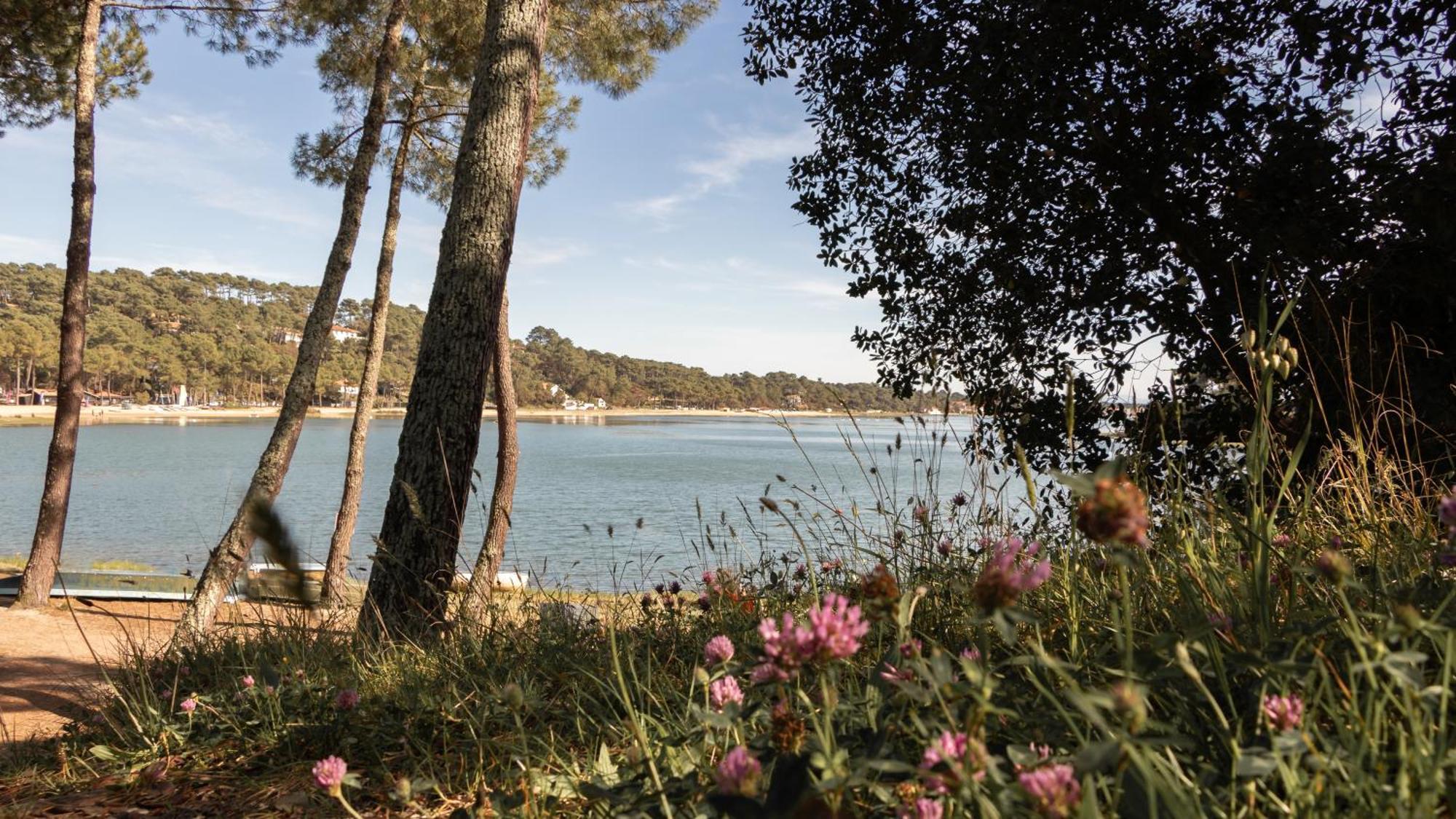 Residence Hoteliere Les Acanthes Soorts-Hossegor Kültér fotó